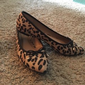 Cheetah flats